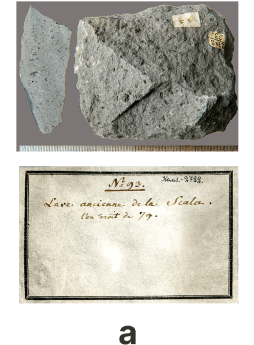 Музейная коллекция