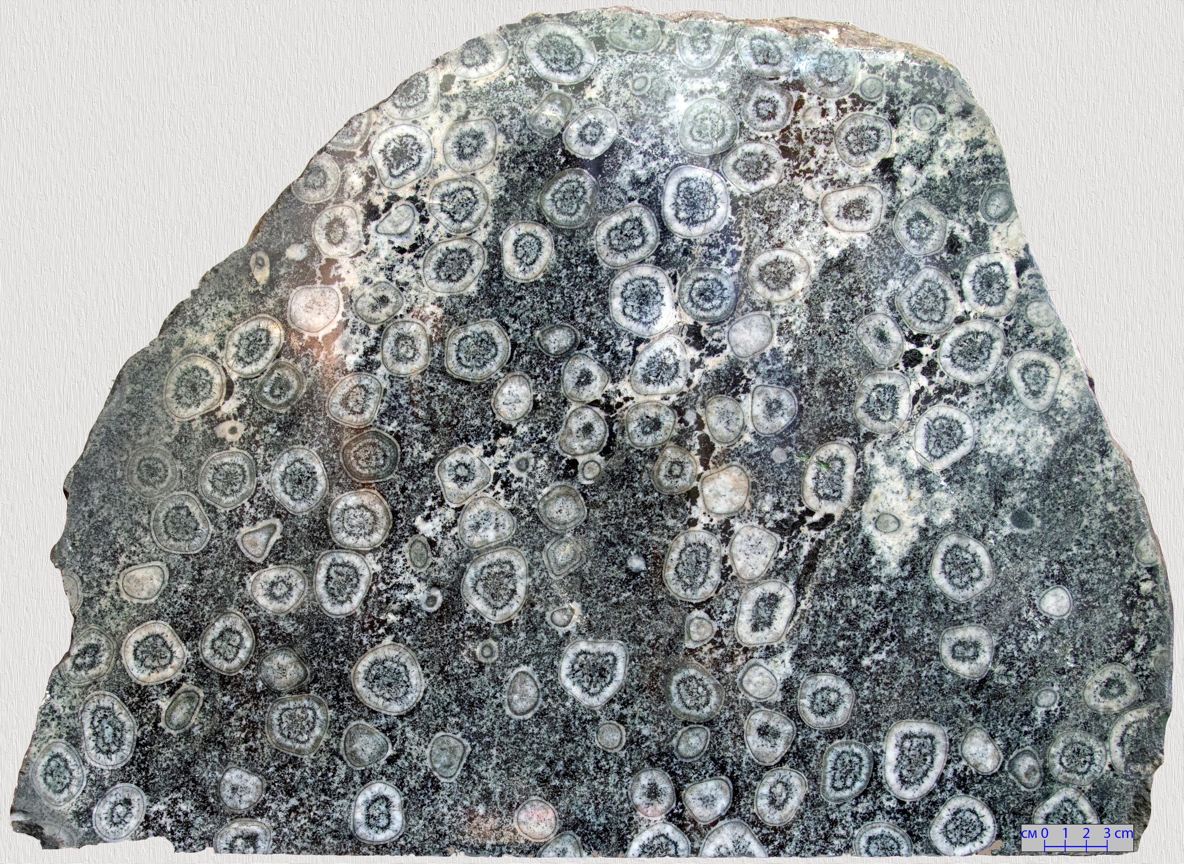 Экспозиция музея