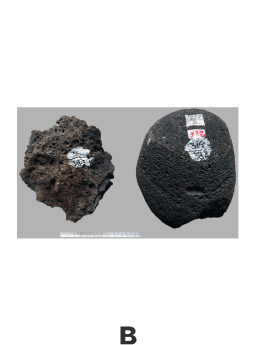 Музейная коллекция