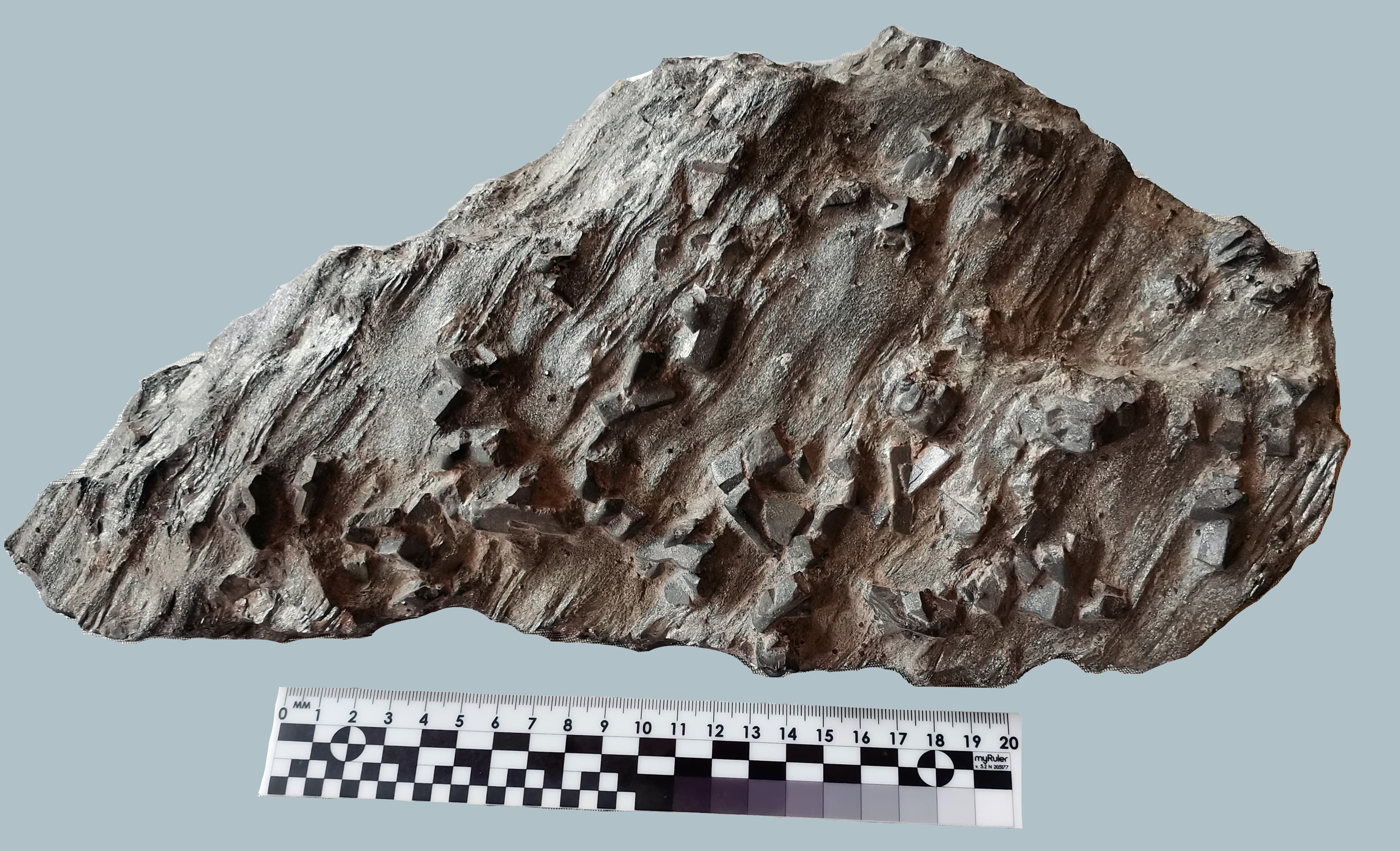 Экспозиция музея