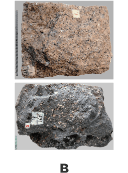 Музейная коллекция