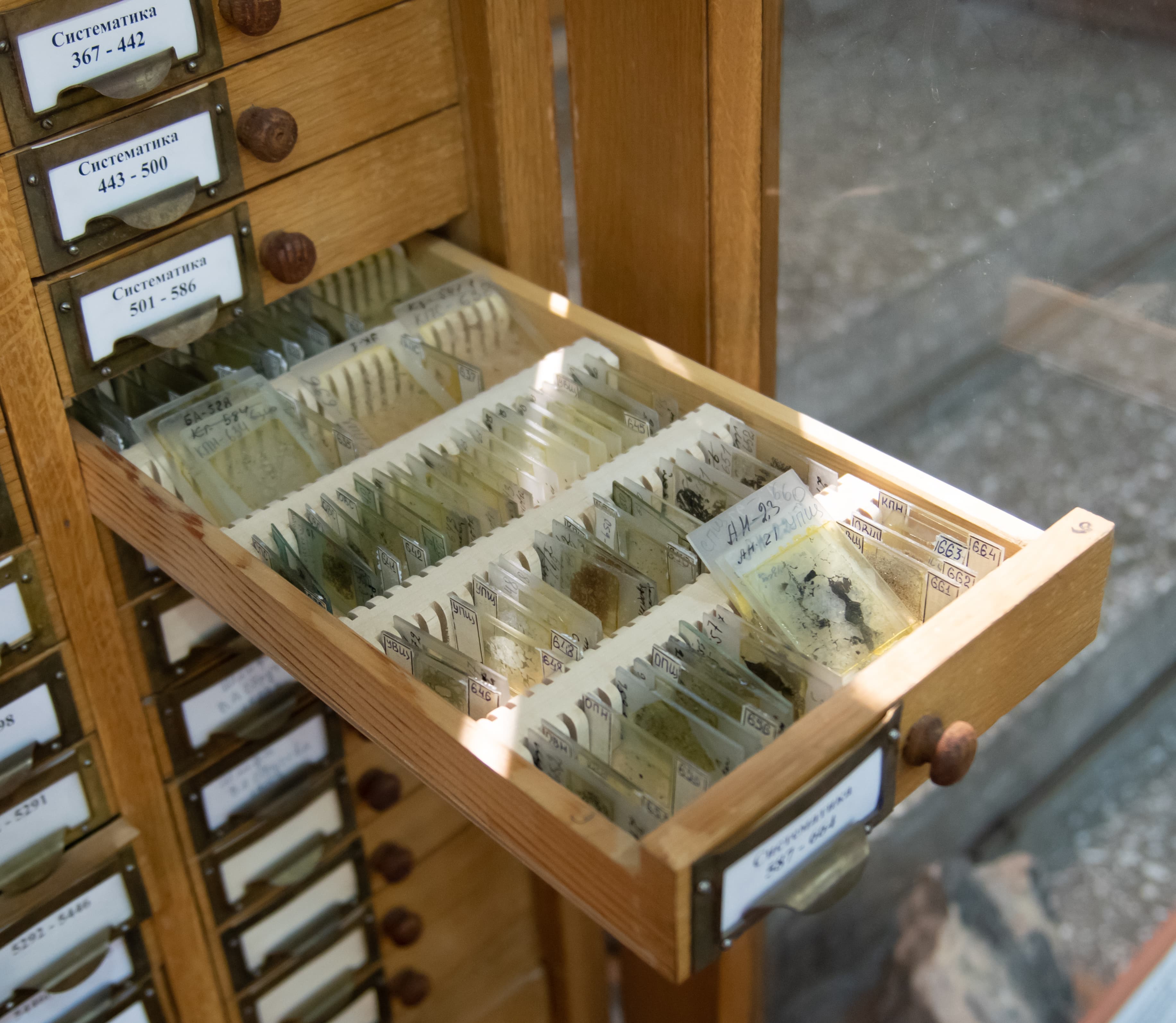 Экспозиция музея