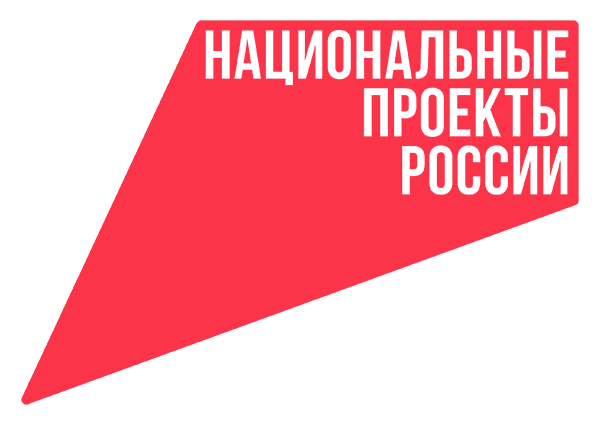 Национальные проекты России